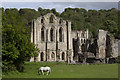 SE5784 : The Abbey ruins by Colin Grice