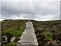 J3523 : View north-westwards along the Mourne Wall at Long Seefin by Eric Jones