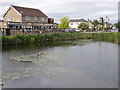  : Warboys Pond by Michael Trolove