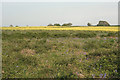 SS8578 : Farmland to the north east of Wig Fach by eswales