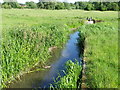 SU1329 : Harnham Water Meadows by Maigheach-gheal