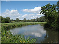 TL4010 : Bend in the River Stort by Stephen Craven