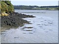 W0531 : Landing pontoon on River Ilen - Glebe Townland by Mac McCarron