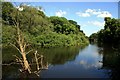 SJ4159 : The River Dee near Aldford by Jeff Buck