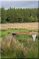 NY3822 : Rough Pasture near Cockley Moor by Mick Garratt