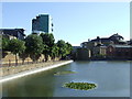 TQ3480 : Basin near Wapping by Malc McDonald