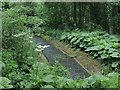 SK0247 : Canal overflow channel near Froghall, Staffordshire by Roger  D Kidd