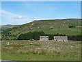 NZ0101 : Farm Houses in Arkengarthdale by Paul Buckingham