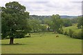 SK2266 : Dairy Pasture Wigger Dale by Mick Garratt