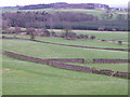 NZ0823 : Drystone walls near Copley by Maigheach-gheal