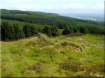 NS4375 : Grouse Butt near Riggangower by Lairich Rig