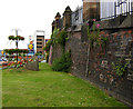 SJ8446 : Wild flower wall by Jonathan Kington