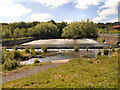 NZ1961 : River Derwent, Weir by David Dixon