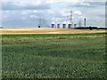 SE5323 : Green field, yellow field by Christine Johnstone