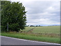 TL2959 : Footpath to Swansley Wood Farm by Geographer