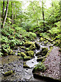 NY8828 : Small stream near High Force by David Dixon