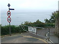 SZ5881 : Coastal Path at Shanklin Chine by Malc McDonald