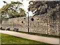 SU4829 : City Wall - Winchester by Paul Gillett