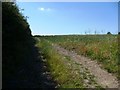 SE2313 : Farm track along the edge of a wheatfield by Christine Johnstone