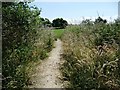 SE2110 : Informal but well-used path by Christine Johnstone