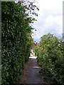 TM3877 : Swan Lane footpath to London Road by Geographer