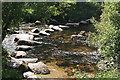 SX6773 : Dartmoor Forest: West Dart crossing by Martin Bodman