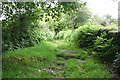 SX6673 : Dartmoor Forest: path to Huccaby by Martin Bodman