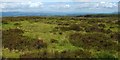 NS4479 : Site of former limestone quarrying by Lairich Rig