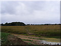 TM4262 : Footpath to Knodishall Green by Geographer