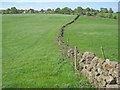 SK3842 : Pasture land at Marks Hill by Trevor Rickard