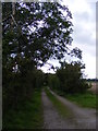 TM3958 : Footpath to Gromford Lane & entrance to Chagford by Geographer