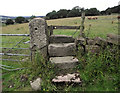 SJ8957 : Stone stile and gatepost by Jonathan Kington