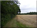 TM4261 : Footpath to Church Road by Geographer