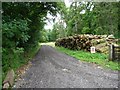 SP0712 : Log pile along woodland track by Christine Johnstone