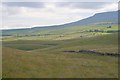 SD7878 : Wall, Ingman Lodge Rough Pasture by Mick Garratt