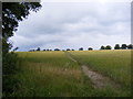 TM4059 : Footpath to the B1069 Church Road by Geographer