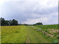 TM2450 : Footpath to Hasketon Road & Mill Lane by Geographer