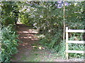 TM3764 : Footpath to Carlton Church by Geographer