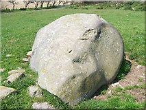  : The cup and ring marked rock by Elliott Simpson