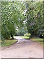 TM3677 : The entrance to Grange Farm & Chediston Chase by Geographer