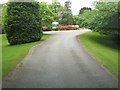 NX4265 : A junction on the driveway to Kirroughtree House by Ann Cook