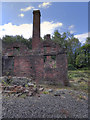 SJ6903 : Blists Hill Brick and Tile Works by David Dixon