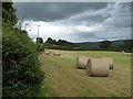 SO3592 : Swiss rolls under a stormy sky by Christine Johnstone