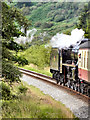 SE8495 : North Yorkshire Moors Railway, Leaving Pifelhead Wood by David Dixon