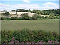 SO7488 : The tree-lined banks of the River Severn by Christine Johnstone