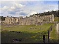 SE5784 : Rievaulx Abbey by David Dixon