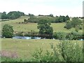 SO7581 : Sheep grazing along the Severn by Christine Johnstone