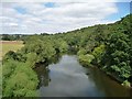 SO7679 : Eymore Wood and the River Severn by Christine Johnstone