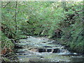 NY9061 : Rapids on West Dipton Burn by Mike Quinn