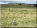 NZ0042 : Moorland west of Parkhead station by Mike Quinn